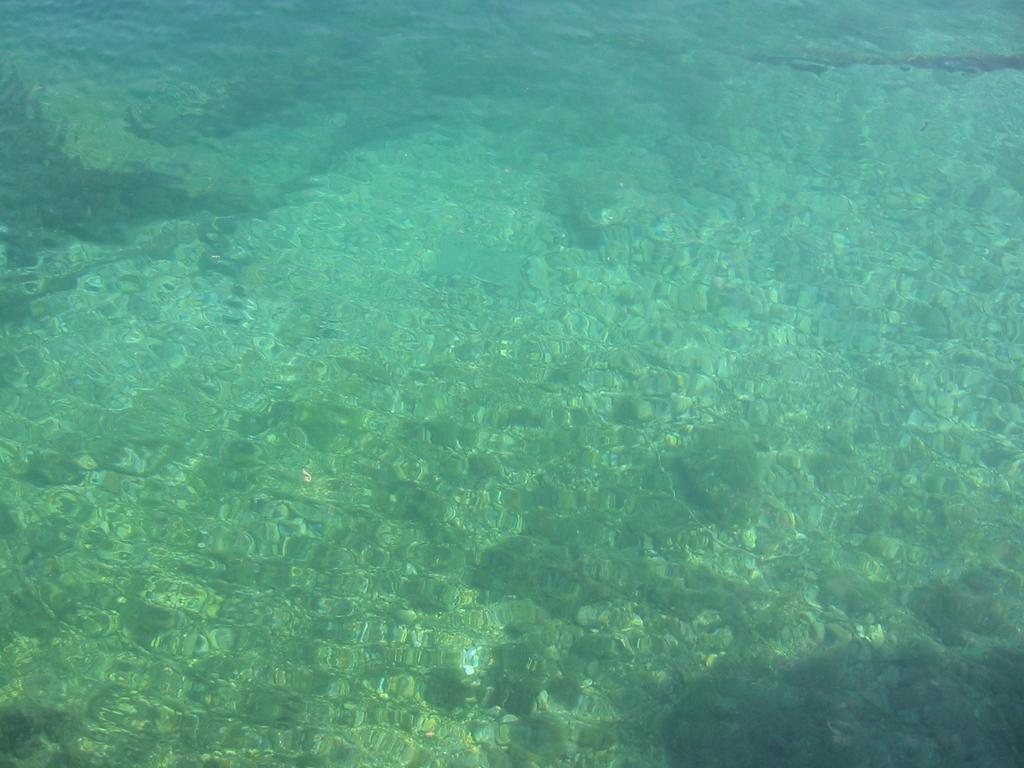 פודגורה Apartments Waterfront Ivan חדר תמונה